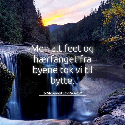 Picture 05 - 5 Mosebok 3:7 NORSK - Men alt feet og hærfanget fra byene tok vi til - Bible Verse Picture