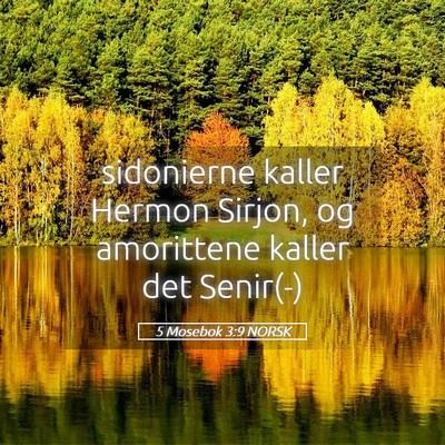 Picture 05 - 5 Mosebok 3:9 NORSK - sidonierne kaller Hermon Sirjon, og amorittene - Bible Verse Picture