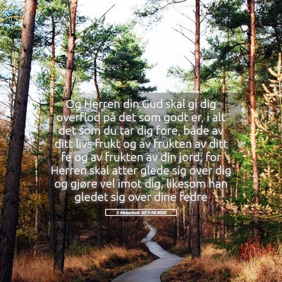 Picture 05 - 5 Mosebok 30:9 NORSK - Og Herren din Gud skal gi dig overflod på det - Bible Verse Picture