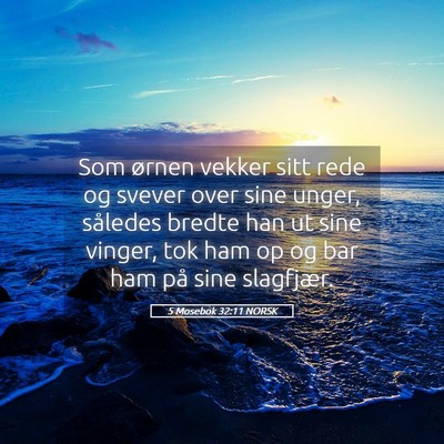 Picture 05 - 5 Mosebok 32:11 NORSK - Som ørnen vekker sitt rede og svever over sine - Bible Verse Picture