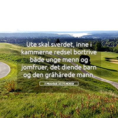 Picture 05 - 5 Mosebok 32:25 NORSK - Ute skal sverdet, inne i kammerne redsel bortrive - Bible Verse Picture