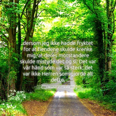 Picture 05 - 5 Mosebok 32:27 NORSK - dersom jeg ikke hadde fryktet for at fiendene - Bible Verse Picture