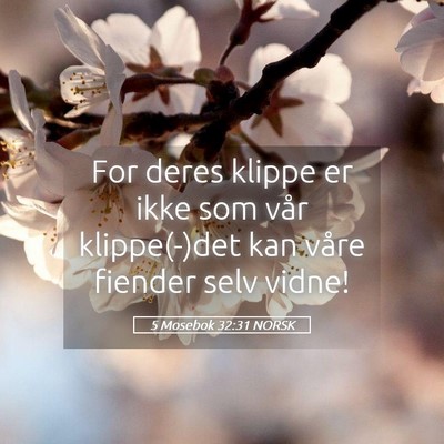 Picture 05 - 5 Mosebok 32:31 NORSK - For deres klippe er ikke som vår klippe(-)det - Bible Verse Picture