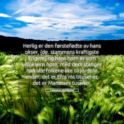 Picture 05 - 5 Mosebok 33:17 NORSK - Herlig er den førstefødte av hans okser, {de. - Bible Verse Picture