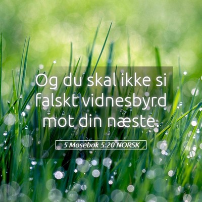 Picture 05 - 5 Mosebok 5:20 NORSK - Og du skal ikke si falskt vidnesbyrd mot din - Bible Verse Picture