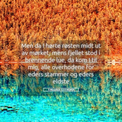 Picture 05 - 5 Mosebok 5:23 NORSK - Men da I hørte røsten midt ut av mørket, mens - Bible Verse Picture