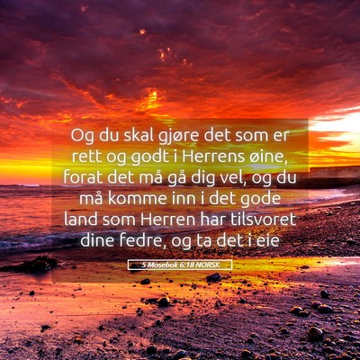 Picture 05 - 5 Mosebok 6:18 NORSK - Og du skal gjøre det som er rett og godt i - Bible Verse Picture