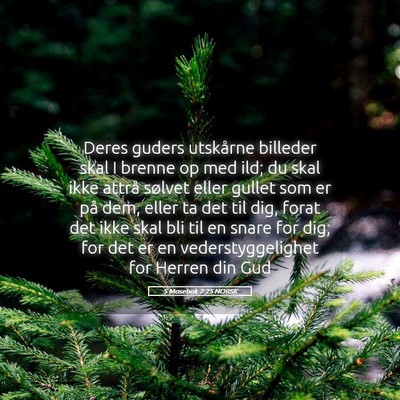 Picture 05 - 5 Mosebok 7:25 NORSK - Deres guders utskårne billeder skal I brenne op - Bible Verse Picture