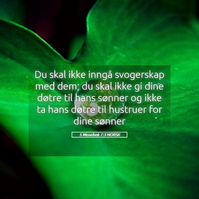 Picture 05 - 5 Mosebok 7:3 NORSK - Du skal ikke inngå svogerskap med dem; du skal - Bible Verse Picture