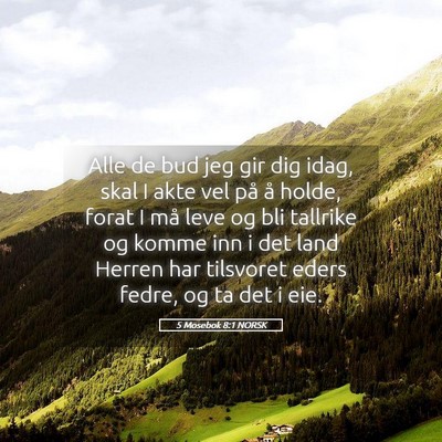 Picture 05 - 5 Mosebok 8:1 NORSK - Alle de bud jeg gir dig idag, skal I akte vel på - Bible Verse Picture