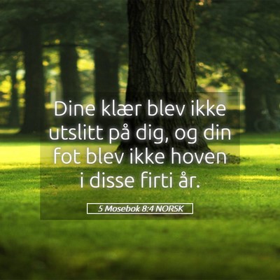 Picture 05 - 5 Mosebok 8:4 NORSK - Dine klær blev ikke utslitt på dig, og din fot - Bible Verse Picture