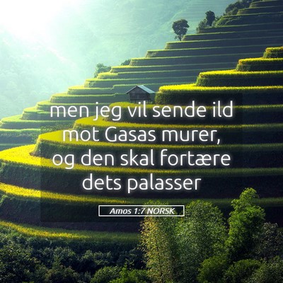 Picture 05 - Amos 1:7 NORSK - men jeg vil sende ild mot Gasas murer, og den - Bible Verse Picture