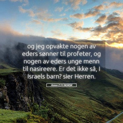 Picture 05 - Amos 2:11 NORSK - og jeg opvakte nogen av eders sønner til - Bible Verse Picture