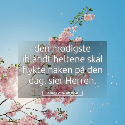 Picture 05 - Amos 2:16 NORSK - den modigste iblandt heltene skal flykte naken - Bible Verse Picture