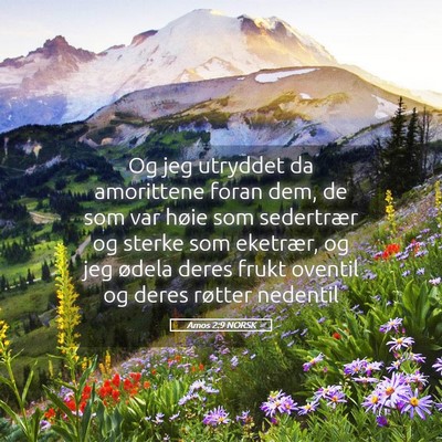 Picture 05 - Amos 2:9 NORSK - Og jeg utryddet da amorittene foran dem, de som - Bible Verse Picture