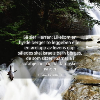 Picture 05 - Amos 3:12 NORSK - Så sier Herren: Likesom en hyrde berger to - Bible Verse Picture
