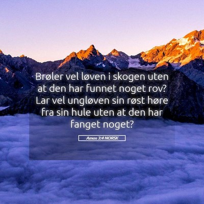 Picture 05 - Amos 3:4 NORSK - Brøler vel løven i skogen uten at den har - Bible Verse Picture