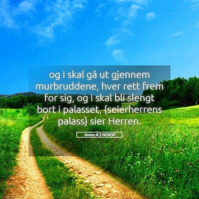 Picture 05 - Amos 4:3 NORSK - og I skal gå ut gjennem murbruddene, hver rett - Bible Verse Picture