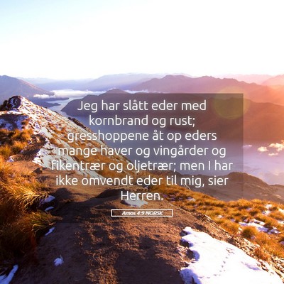 Picture 05 - Amos 4:9 NORSK - Jeg har slått eder med kornbrand og rust; - Bible Verse Picture