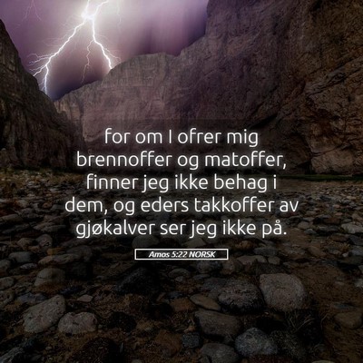 Picture 05 - Amos 5:22 NORSK - for om I ofrer mig brennoffer og matoffer, finner - Bible Verse Picture