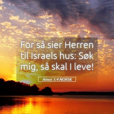 Picture 05 - Amos 5:4 NORSK - For så sier Herren til Israels hus: Søk mig, - Bible Verse Picture