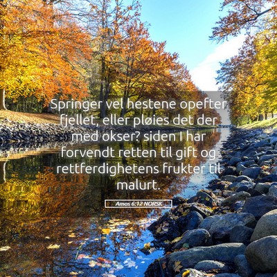 Picture 05 - Amos 6:12 NORSK - Springer vel hestene opefter fjellet, eller - Bible Verse Picture