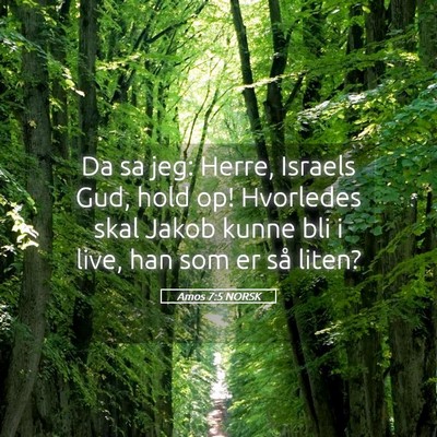 Picture 05 - Amos 7:5 NORSK - Da sa jeg: Herre, Israels Gud, hold op! Hvorledes - Bible Verse Picture