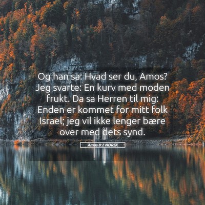 Picture 05 - Amos 8:2 NORSK - Og han sa: Hvad ser du, Amos? Jeg svarte: En kurv - Bible Verse Picture