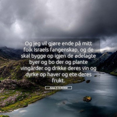 Picture 05 - Amos 9:14 NORSK - Og jeg vil gjøre ende på mitt folk Israels - Bible Verse Picture