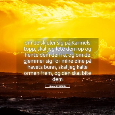 Picture 05 - Amos 9:3 NORSK - om de skjuler sig på Karmels topp, skal jeg lete - Bible Verse Picture