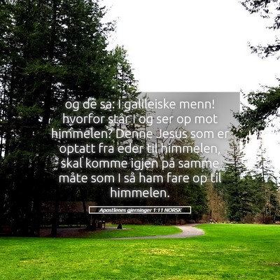 Picture 05 - Apostlenes gjerninger 1:11 NORSK - og de sa: I galileiske menn! hvorfor står I og - Bible Verse Picture