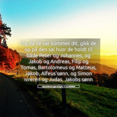 Picture 05 - Apostlenes gjerninger 1:13 NORSK - Og da de var kommet dit, gikk de op på den sal - Bible Verse Picture