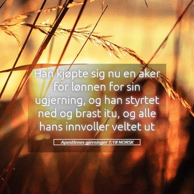 Picture 05 - Apostlenes gjerninger 1:18 NORSK - Han kjøpte sig nu en aker for lønnen for sin - Bible Verse Picture