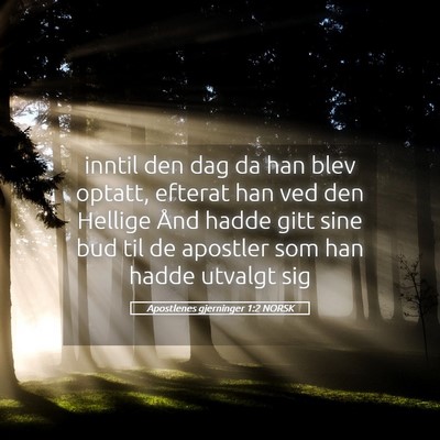Picture 05 - Apostlenes gjerninger 1:2 NORSK - inntil den dag da han blev optatt, efterat han - Bible Verse Picture