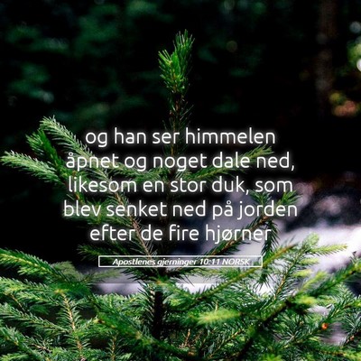 Picture 05 - Apostlenes gjerninger 10:11 NORSK - og han ser himmelen åpnet og noget dale ned, - Bible Verse Picture
