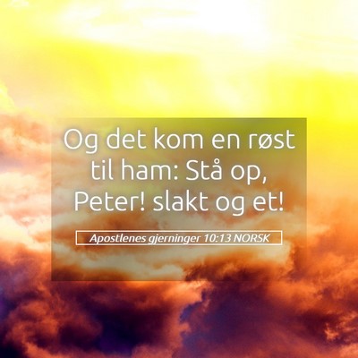 Picture 05 - Apostlenes gjerninger 10:13 NORSK - Og det kom en røst til ham: Stå op, Peter! - Bible Verse Picture