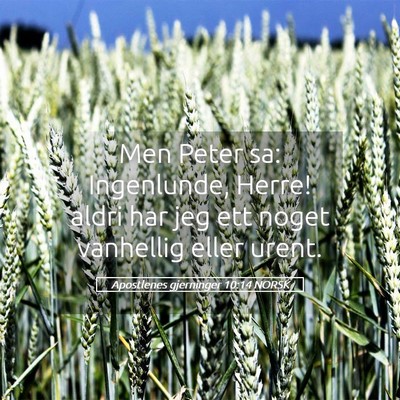 Picture 05 - Apostlenes gjerninger 10:14 NORSK - Men Peter sa: Ingenlunde, Herre! aldri har jeg - Bible Verse Picture