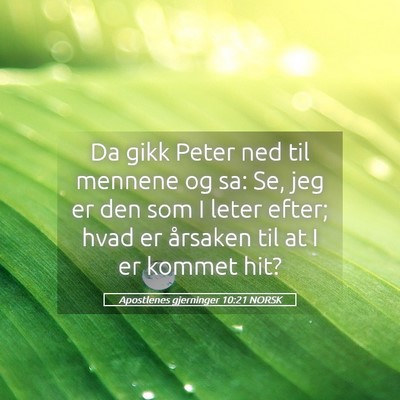 Picture 05 - Apostlenes gjerninger 10:21 NORSK - Da gikk Peter ned til mennene og sa: Se, jeg er - Bible Verse Picture