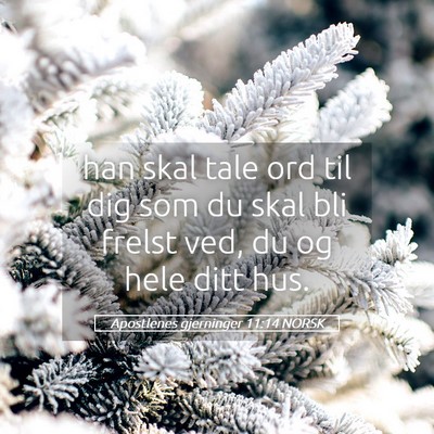 Picture 05 - Apostlenes gjerninger 11:14 NORSK - han skal tale ord til dig som du skal bli frelst - Bible Verse Picture