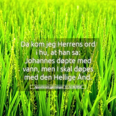 Picture 05 - Apostlenes gjerninger 11:16 NORSK - Da kom jeg Herrens ord i hu, at han sa: Johannes - Bible Verse Picture