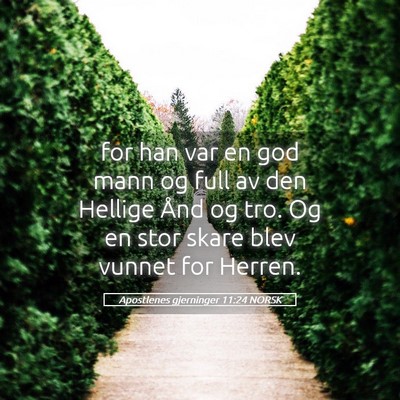 Picture 05 - Apostlenes gjerninger 11:24 NORSK - for han var en god mann og full av den Hellige - Bible Verse Picture