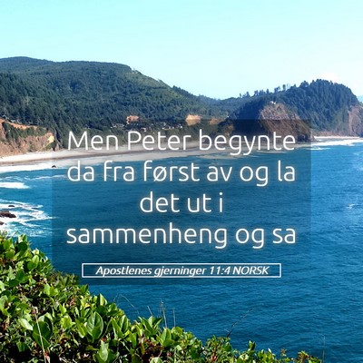 Picture 05 - Apostlenes gjerninger 11:4 NORSK - Men Peter begynte da fra først av og la det ut i - Bible Verse Picture