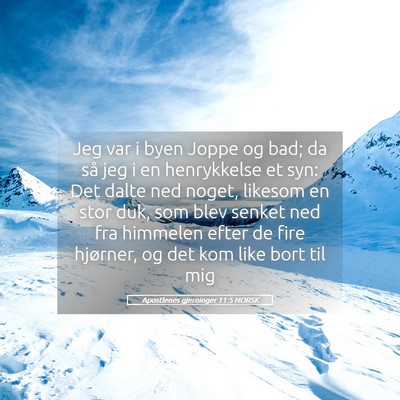 Picture 05 - Apostlenes gjerninger 11:5 NORSK - Jeg var i byen Joppe og bad; da så jeg i en - Bible Verse Picture