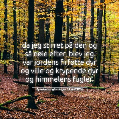 Picture 05 - Apostlenes gjerninger 11:6 NORSK - da jeg stirret på den og så nøie efter, blev - Bible Verse Picture
