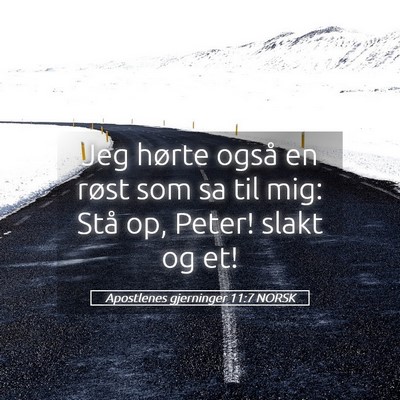 Picture 05 - Apostlenes gjerninger 11:7 NORSK - Jeg hørte også en røst som sa til mig: Stå - Bible Verse Picture