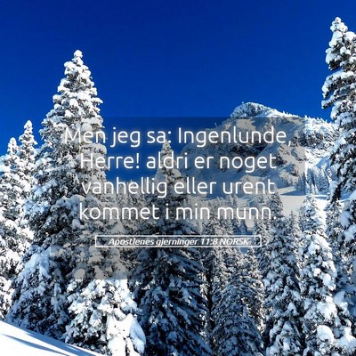 Picture 05 - Apostlenes gjerninger 11:8 NORSK - Men jeg sa: Ingenlunde, Herre! aldri er noget - Bible Verse Picture