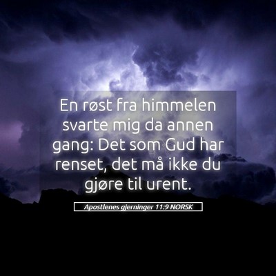 Picture 05 - Apostlenes gjerninger 11:9 NORSK - En røst fra himmelen svarte mig da annen gang: - Bible Verse Picture