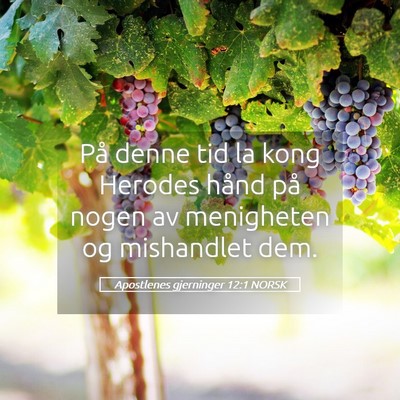 Picture 05 - Apostlenes gjerninger 12:1 NORSK - På denne tid la kong Herodes hånd på nogen av - Bible Verse Picture