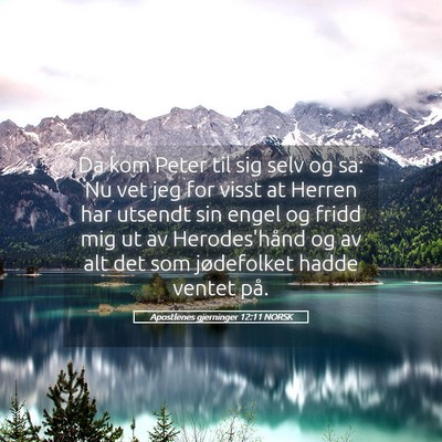 Picture 05 - Apostlenes gjerninger 12:11 NORSK - Da kom Peter til sig selv og sa: Nu vet jeg for - Bible Verse Picture