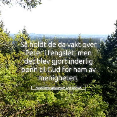 Picture 05 - Apostlenes gjerninger 12:5 NORSK - Så holdt de da vakt over Peter i fengslet; men - Bible Verse Picture